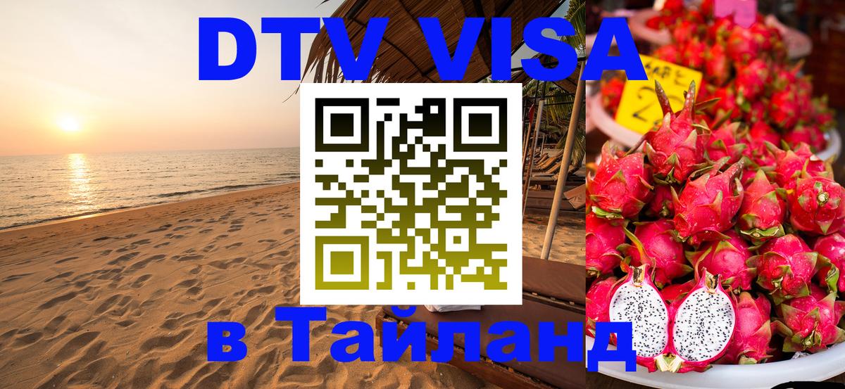 Оформление DTV визы под ключ: стоимость и тарифы, только загранпаспорт - Кызыл  20.11.2025 